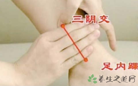 疏肝解郁的花茶是什么