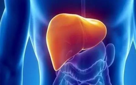 脂肪肝会导致肝癌吗