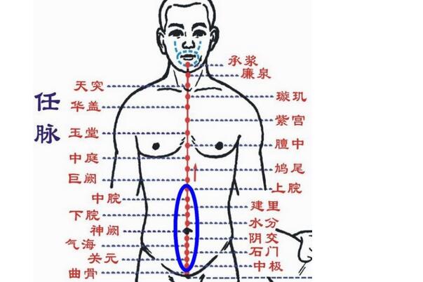 你不可不知的人体三大养生保健穴位