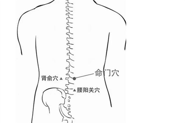 中医推荐养生助性的四大穴位 让性生活一百分