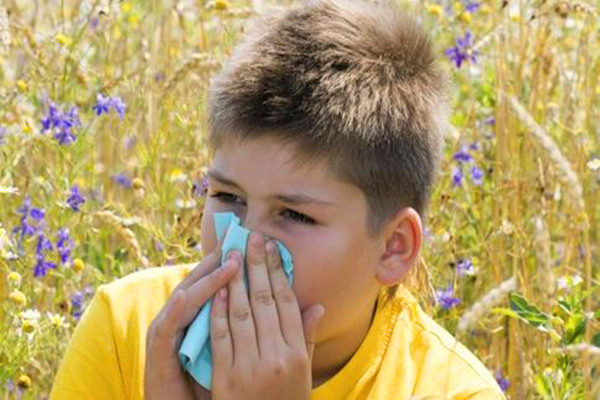 花粉过敏有可能导致湿疹