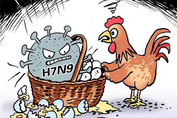 禽流感疫情持续升温 猜想：它会成为“超级病毒”吗