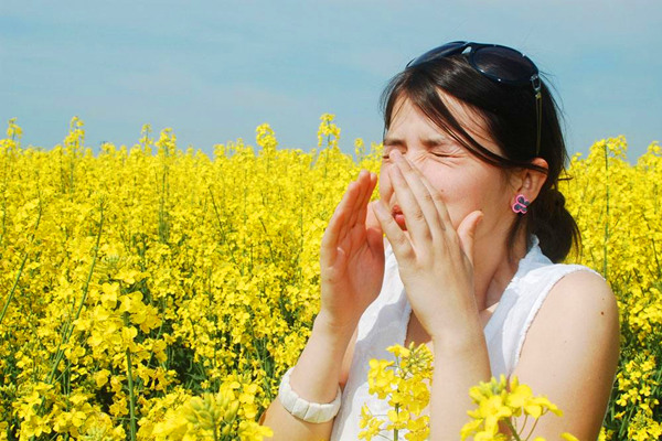 春季看油菜花花粉过敏 我们应该如何预防