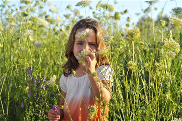 清明过敏高峰期 如何预防花粉过敏