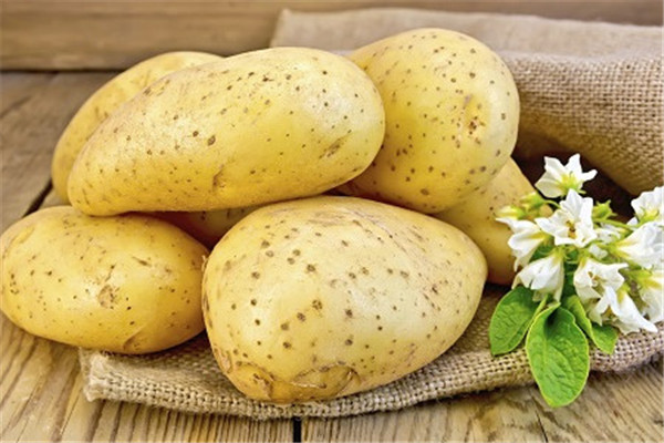 红心甘蔗发芽土豆 细数春季不宜吃的4类食物