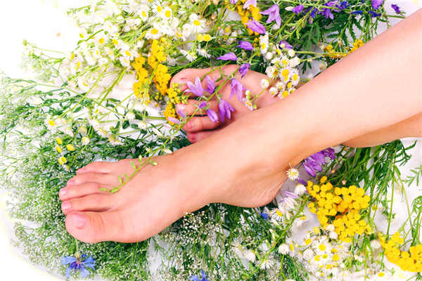 春暖花开踏青好时节 但需警惕赏花谨防花粉过敏