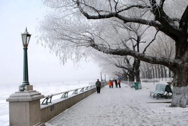 下雪的季节,风,季节,风雪