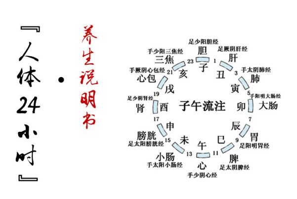 冬季养生大全 附送人体24小时养生“说明书”