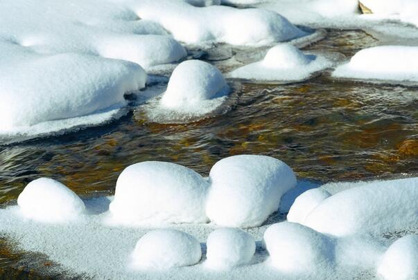 用雪水泡茶真的养生？专家：别轻信