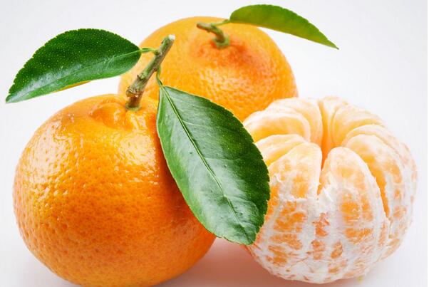 橘子的功效与作用有哪些？专家说：橘子全身都是宝