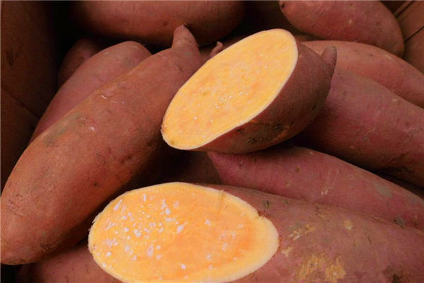 冬季吃红薯最养生 红薯有哪些好处