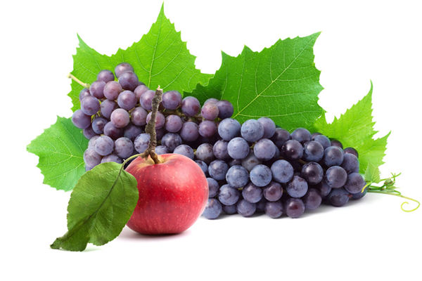 秋天吃葡萄好处多多 益气补血强筋骨