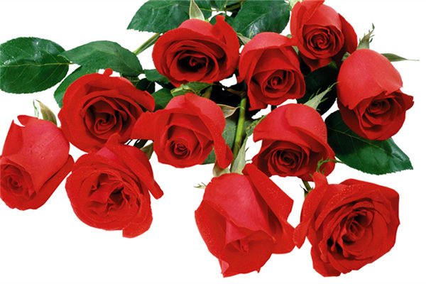 情人节收到的玫瑰只能插花？一枚吃货用来熬成玫瑰花酱