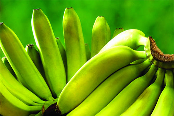胡乱补肾或得肾癌 多吃香蕉与根类蔬菜有预防作用