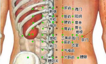 三九贴常用养生穴位