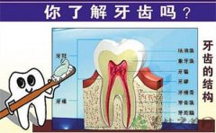 牙周病的危害有哪些方面