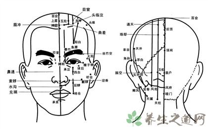 针灸穴位图解