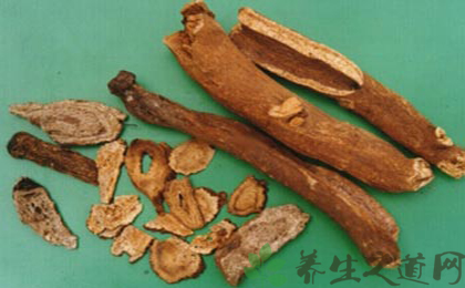木香的功效与作用及食用方法