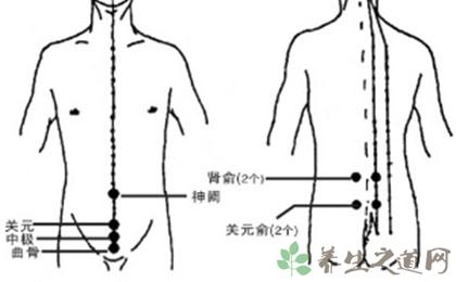 哪些是提高性功能的穴位