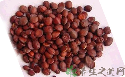 酸枣仁的功效与作用