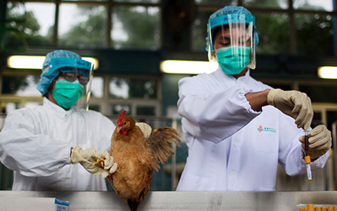 深圳首例H5N6病例死亡 H5N6是什么
