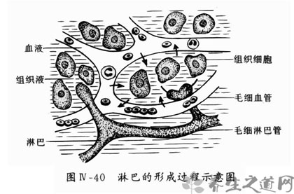 淋巴癌的早期症状