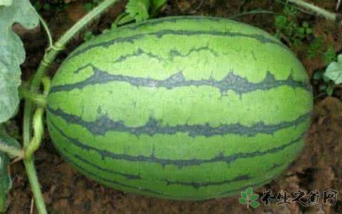 吃西瓜拉肚子是怎么回事