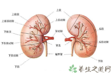 肾衰竭可以治愈吗