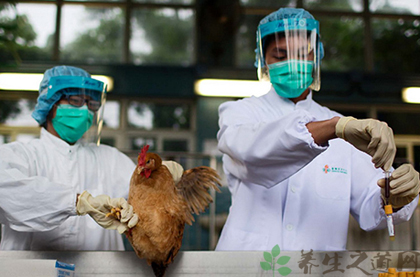深圳首例H5N6病例死亡 H5N6是什么