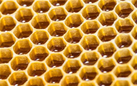 吃蜂巢能治疗鼻炎吗