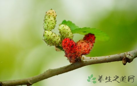 麦格综合征的症状