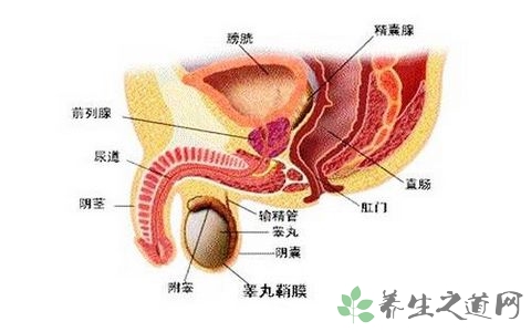 前列腺炎症的症状