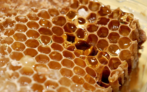 蜂蜜的功效与作用_蜂蜜的药用价值