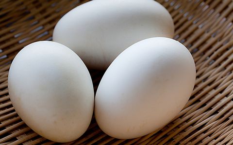 鹅蛋的功效与作用_鹅蛋的药用价值