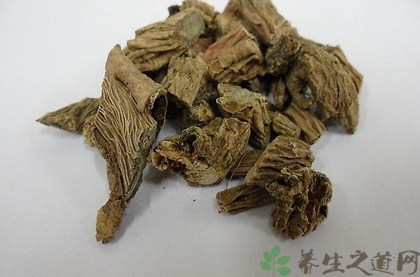 续断的功效与作用_续断的药用价值