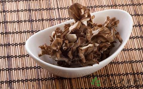 灰树花的药用价值_灰树花的副作用