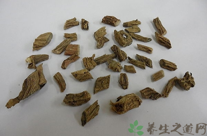 续断的功效与作用_续断的药用价值