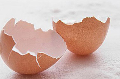 鸡蛋壳的功效与作用_鸡蛋壳的药用价值