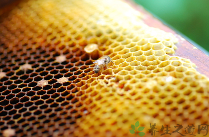 蜂蜡的功效与作用_蜂蜡的药用价值