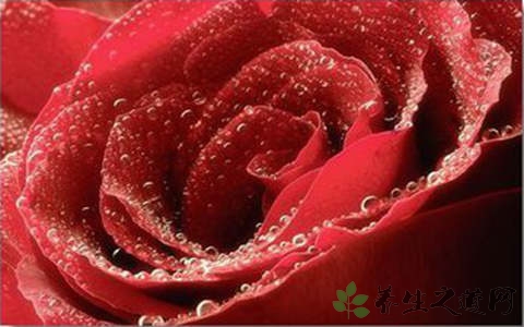 玫瑰露的功效与作用
