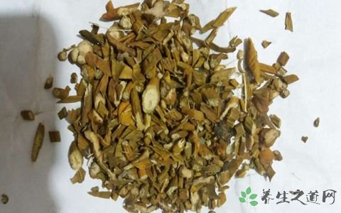 桑寄生的功效与作用_桑寄生的药用价值