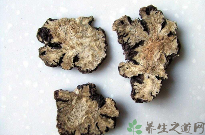 藁本的功效与作用_藁本的药用价值