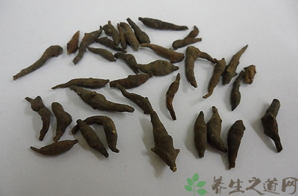 两头尖的功效与作用_两头尖的药用价值