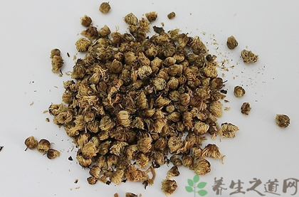 菊花的功效与作用_菊花的药用价值