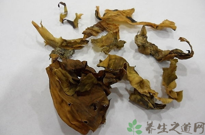 昆布的功效与作用_昆布的药用价值