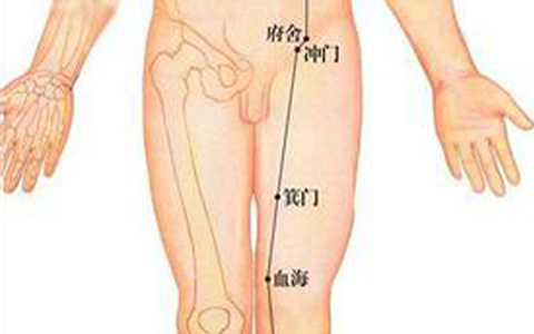 箕门穴的准确位置图