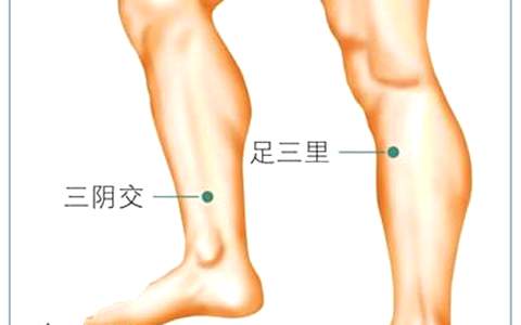 消胃气按什么穴位