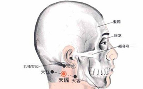 天牖穴的准确位置图