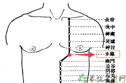 步廊穴在哪里_步廊穴的准确位置图