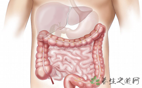 肩内陵穴在什么经络上